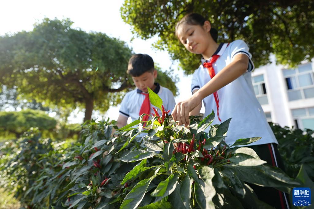 宝马策略网菠菜